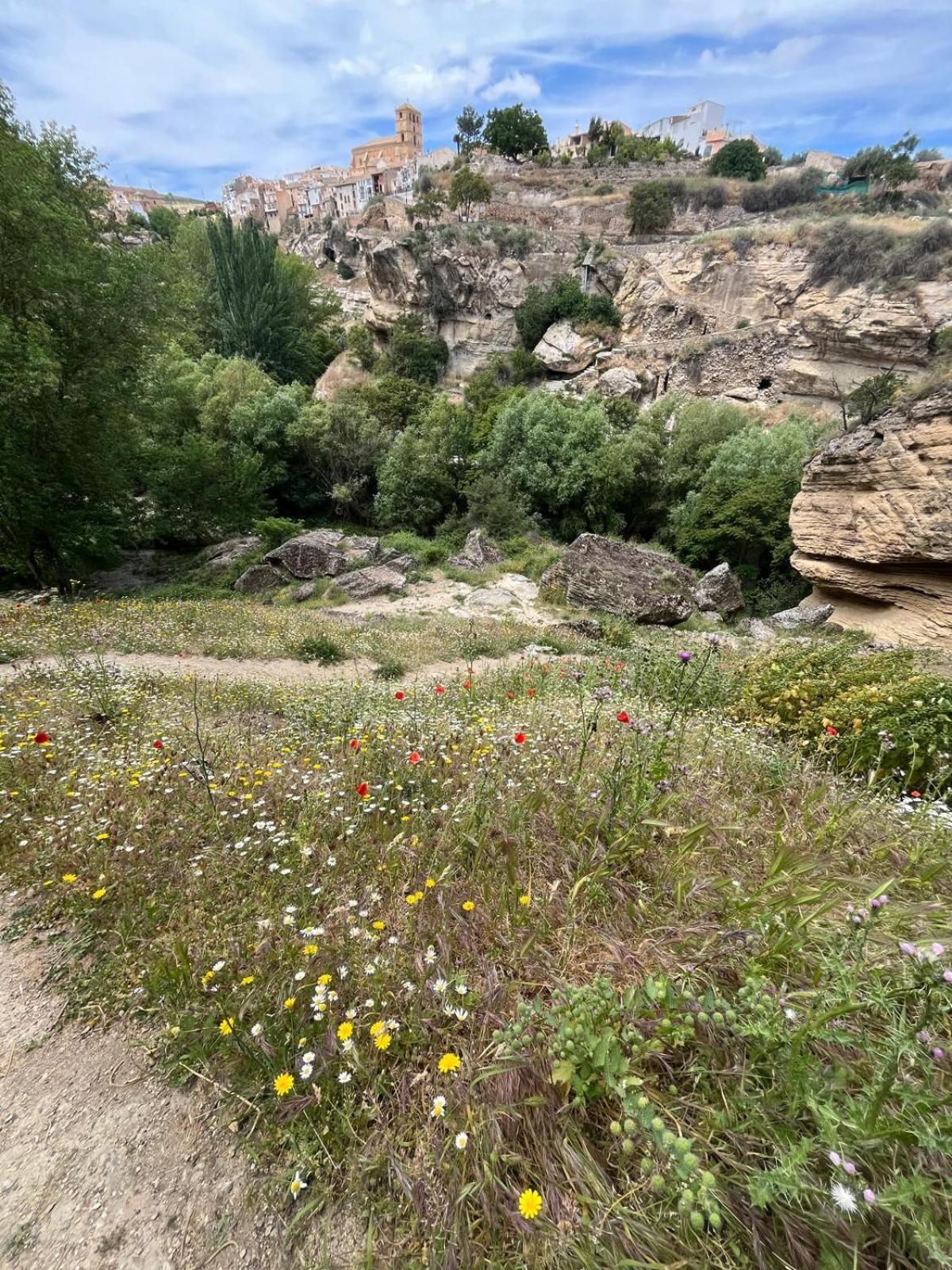 Alojamiento La Escalera Alhama de Granada Buitenkant foto