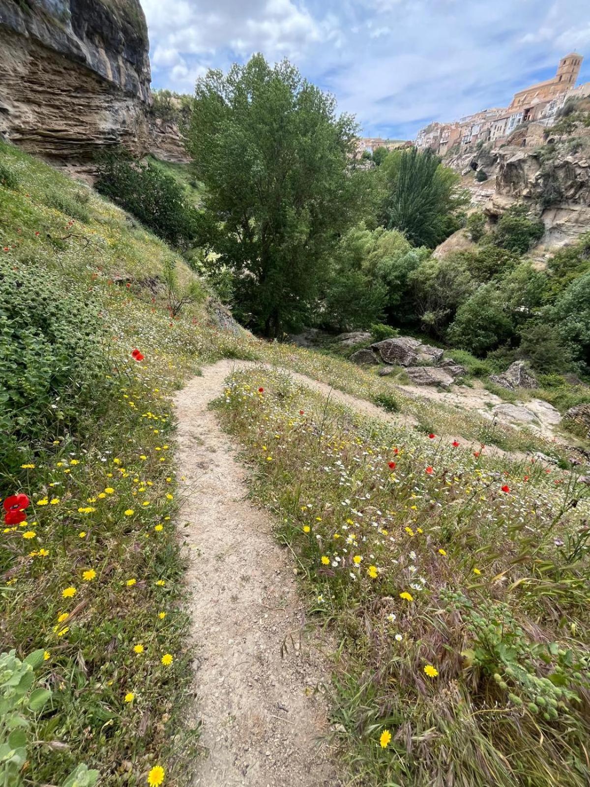 Alojamiento La Escalera Alhama de Granada Buitenkant foto